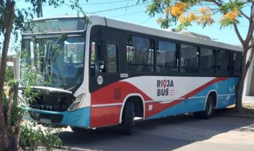 Pudo ser una tragedia: colectivero se bajó al baño, no puso el freno de mano y el colectivo terminó contra un árbol