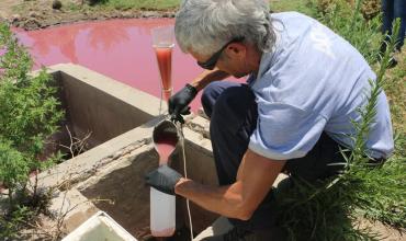 El presidente de un frigorífico fue procesado por contaminar el Río Salado