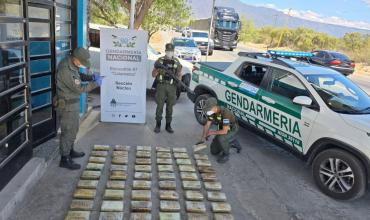 Catamarca: tres mujeres detenidas por viajar con 65 kilos de droga en mochilas