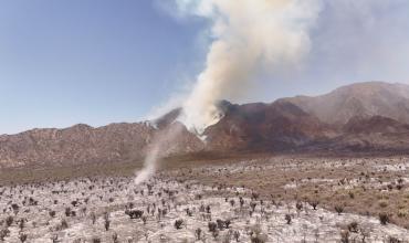 Solicitan profundizar la investigación por los tres incendios registrados en la Capital