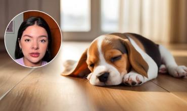 Una veterinaria afirmó que los perros no deben dormir en el piso: “Puede generarles problemas”