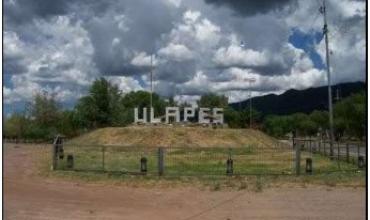 Colisión con un animal vacuno en Ruta 79 dejó solo daños materiales