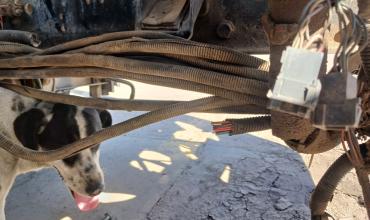 Requirieron presencia policial por un intento de intrusión en la empresa Rioja Bus