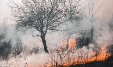 Riesgo "extremo" por incendios forestales en varias provincias