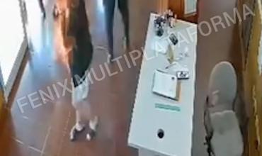 UNA MUJER SE PRENDIÓ FUEGO EN UNA COMISARÍA DE MISIONES Y ESTÁ GRAVE