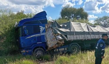 Un camión volcó en la Ruta 141 tras el reventón de un neumático