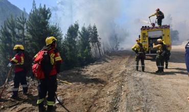 El incendio en Puerto Patriada está contenido en un 100%, confirmó el gobernador