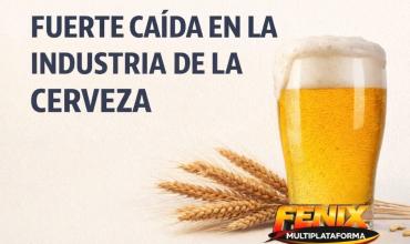 FUERTE CAÍDA EN LA INDUSTRIA Y CONSUMO DE CERVEZA