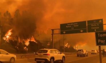Feroz incendio en Chile lleva más de 10.000 hectáreas quemadas: al menos 16 muertos