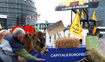 Los agricultores europeos rechazan el acuerdo con el Mercosur durante protestas en Estrasburgo