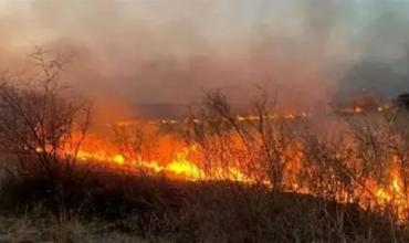Incendios en la Patagonia: el Gobierno giró $100.000 millones a los bomberos mientras evalúa tratar la emergencia