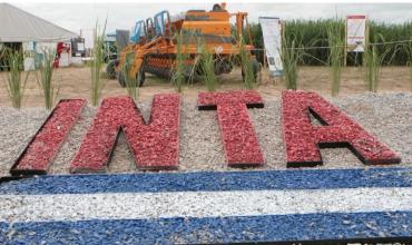 La motosierra de Milei arranca el año por el INTA, sigue con las becas del CONICET y va por más