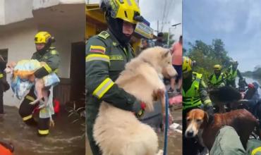 Inundaciones en Colombia: la emotiva acción de un rescatista con un perro que quedó atrapado en una casa