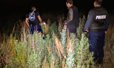 Rescataron a cinco turistas que habían quedado varados en el río Bermejo