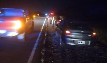 Chocó contra cabras que se cruzaron en la Ruta 38 y terminó con serios daños en el vehículo