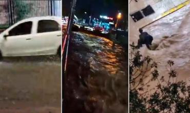 Fuerte temporal en Mendoza: decenas de evacuados, caída de árboles y problemas por posible falta de agua