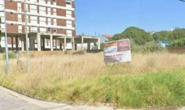 Horror en Mar del Plata: encontraron asesinada a una mujer en un baldío y detuvieron a su pareja