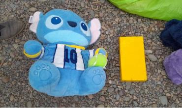 Salta: detuvieron a una mujer por llevar un kilo de cocaína oculto en un peluche