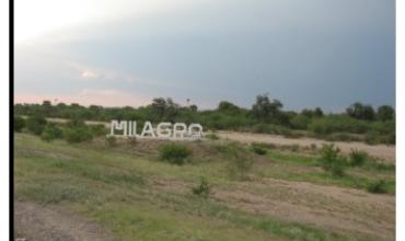 Dos hombres fueron detenidos por provocar disturbios en Milagro