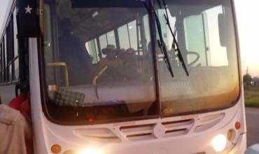 Arrojaron piedras a un colectivo y una mujer resultó herida en el ojo