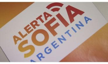 René Molina sobre el protocolo de búsqueda de menores: “La activación es inmediata ante una denuncia”