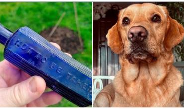Un perro desenterró una botella de veneno y resolvió un crimen de hace 160 años en el Reino Unido
