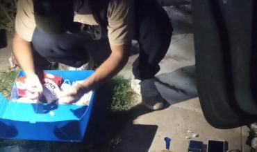 Demoraron a cuatro hombres por tenencia de droga en barrio Las Agaves