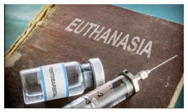 Mario Sebastiani sobre la eutanasia: “Decidir sobre el final de la vida es un acto de autonomía personal”