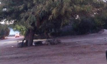 Sin manifestantes en el corte minero de Villa Mazán: mantienen tareas de prevención