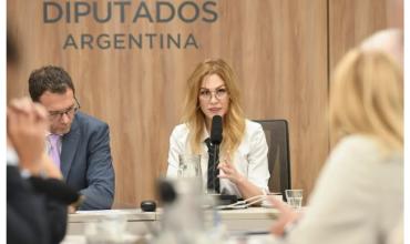  Lemoine asumió en la comisión de Juicio Político y tildó a la oposición dura de “destituyente”