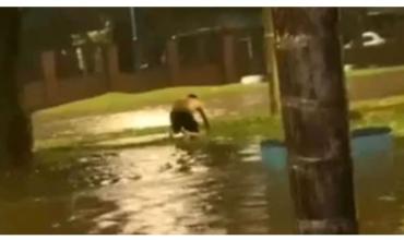 Dolor en Tucumán: un nene murió electrocutado mientras jugaba en la calle bajo la lluvia