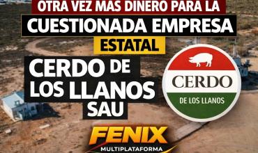 GARANTÍA MILLONARIA PARA CERDO DE LOS LLANOS: 