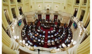 El Gobierno envió al Senado las reformas a las leyes de Discapacidad y Salud Mental