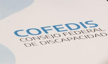 Consejo Federal de Discapacidad: La Rioja abre la inscripción de ONGs para elegir a su representante