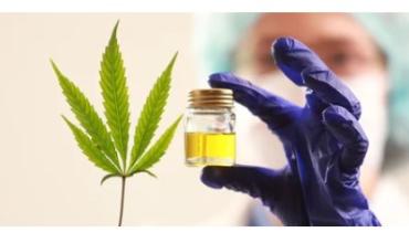 Investigadores chinos desarrollan una molécula a partir de cannabis medicinal