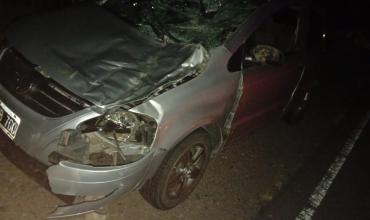 Familia chocó contra un burro en ruta cerca de Chepes: el vehículo sufrió graves daños