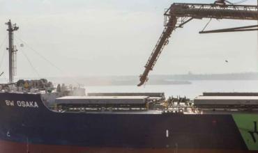 Abrieron la inscripción para exportar girasol a China y buscan ampliar la presencia argentina