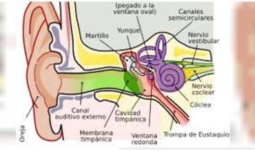 Médicos chinos realizan con éxito una cirugía de reparación del tímpano en Níger