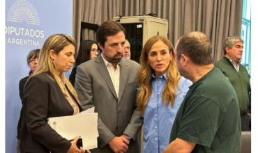 Diputados: autoridades criticaron a Lugones por el ajuste del Gobierno en Salud