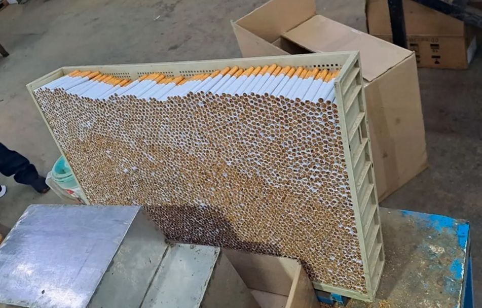 338167_1778067896.jpg