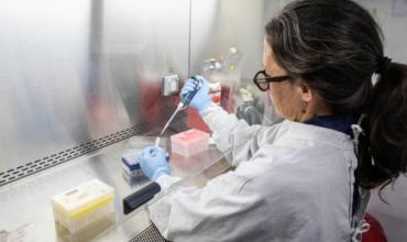Hantavirus: Argentina asiste a países europeos con insumos