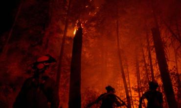 Incendios forestales devastaban miles de hectáreas en Florida