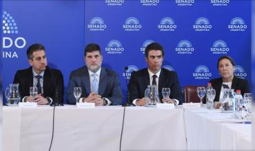 Senado: Ana Cristina Juan rechazó la impugnación por ser esposa del juez Martínez de Giorgi