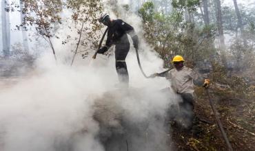 Los incendios en la Patagonia durante el verano fueron los más graves de la región en 60 años