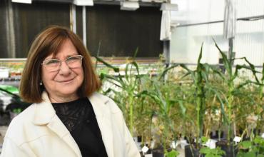 Una investigadora del CONICET fue distinguida con un prestigioso premio internacional