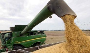Aseguran que la baja de retenciones trae “alivio a los márgenes agrícolas” y calculan un “acotado” costo fiscal