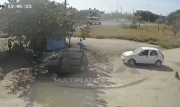 Trinidad Tusa, sobre el hombre que atropelló un perro y lo abandonó: "Gracias a que el video se viralizó, esta persona fue detenida"