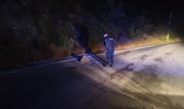 Retiraron rocas de la Ruta 75 tras un derrumbe en el camino a Sanagasta