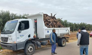 Recuperaron leña tras un presunto hurto en una finca camino al Velazco