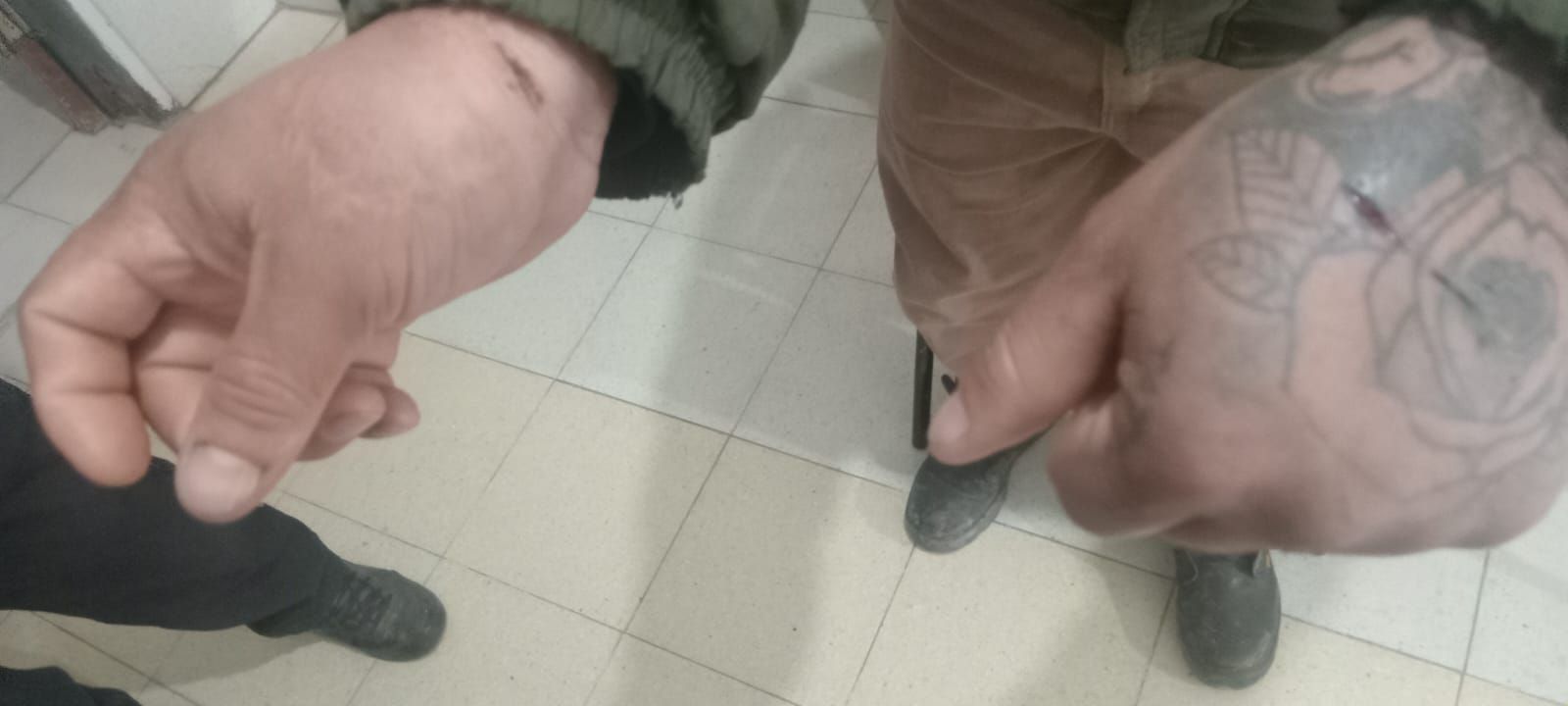 343311_1781887247.jpg